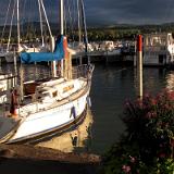 1107G 048 Arbon Hafen (CH)
